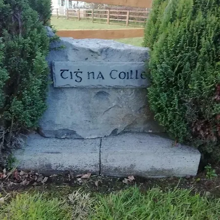 カントリーハウス Tig Na Coille Country House キルケニー