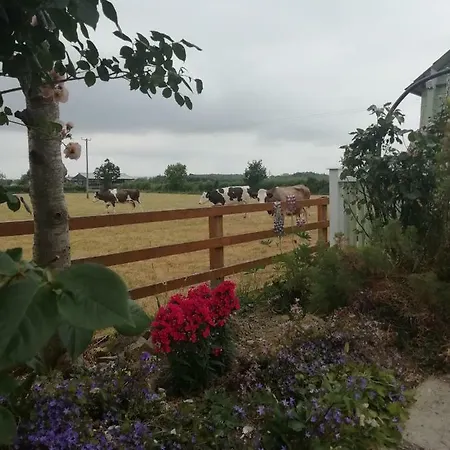 Tig Na Coille Country House カントリーハウス *