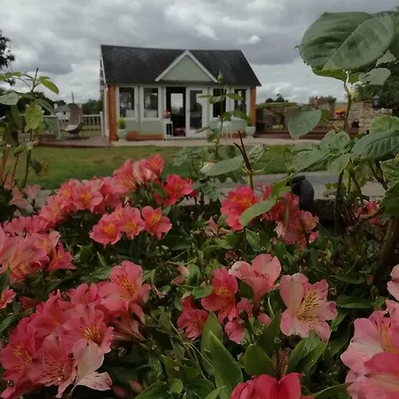 Tig Na Coille Country House カントリーハウス キルケニー