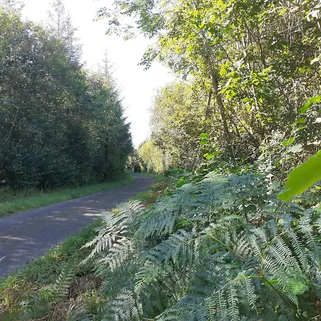 Tig Na Coille Country House * Kilkenny