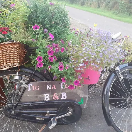 Tig Na Coille Country House Kilkenny