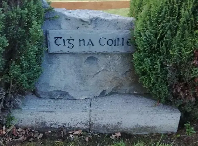 Landsted Tig Na Coille Country House Kilkenny