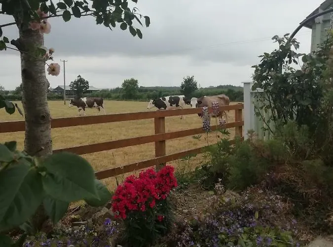 Tig Na Coille Country House Landsted *