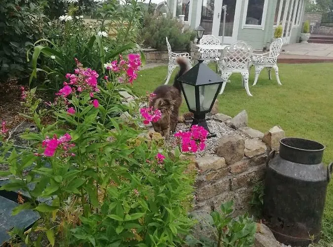 Tig Na Coille Country House *