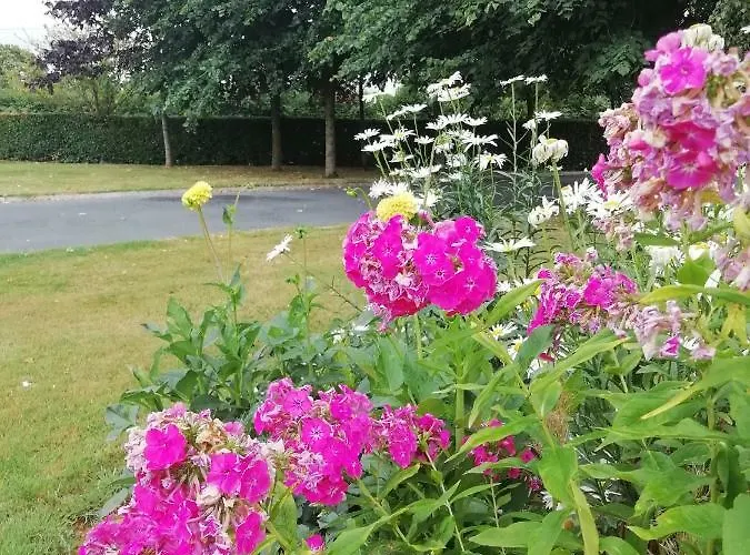 Tig Na Coille Country House Landhuis