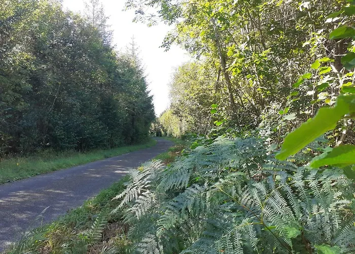 Tig Na Coille Country House * Kilkenny