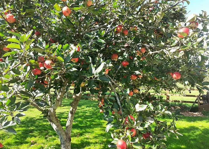 Tig Na Coille Country House Landsted Kilkenny