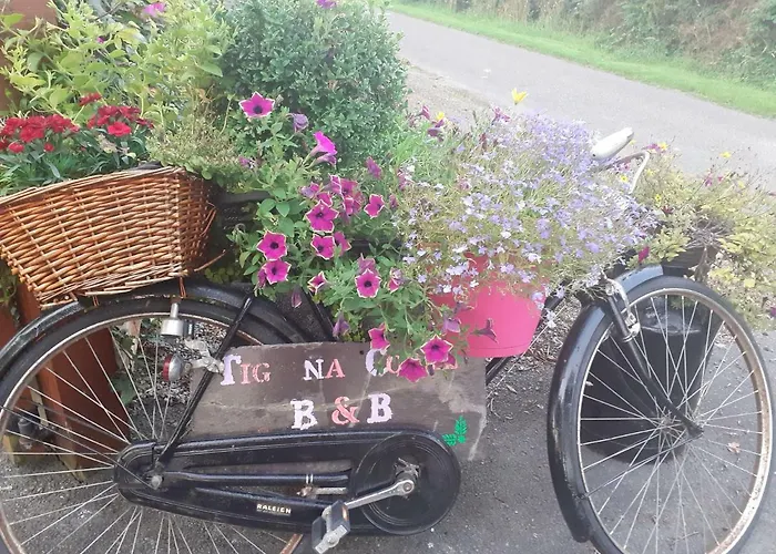 Tig Na Coille Country House Kilkenny